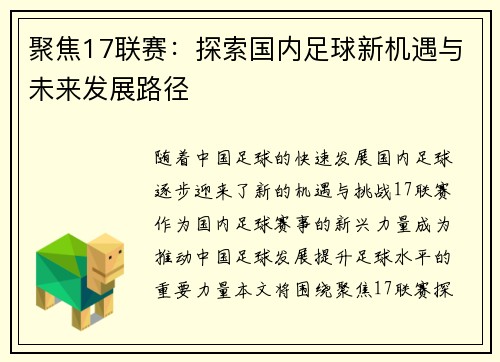 聚焦17联赛：探索国内足球新机遇与未来发展路径