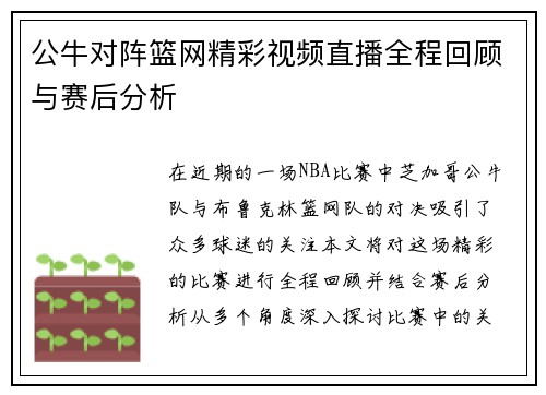 公牛对阵篮网精彩视频直播全程回顾与赛后分析